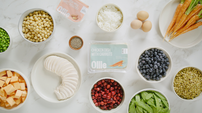 Ollie pet food with all-natural ingredients