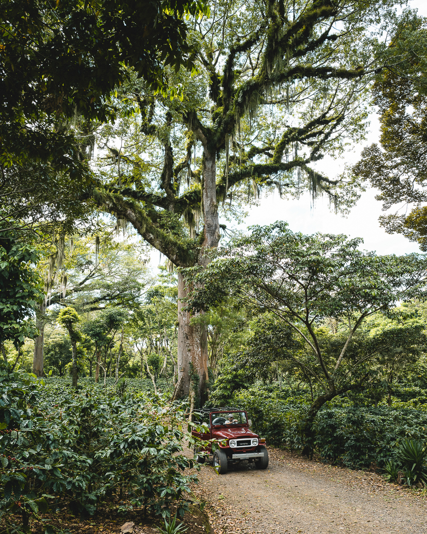 A vintage Toyota driving in Nicaragua