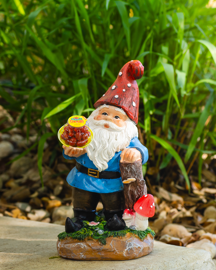 A lawn gnome holding Nature Sweet tomatoes